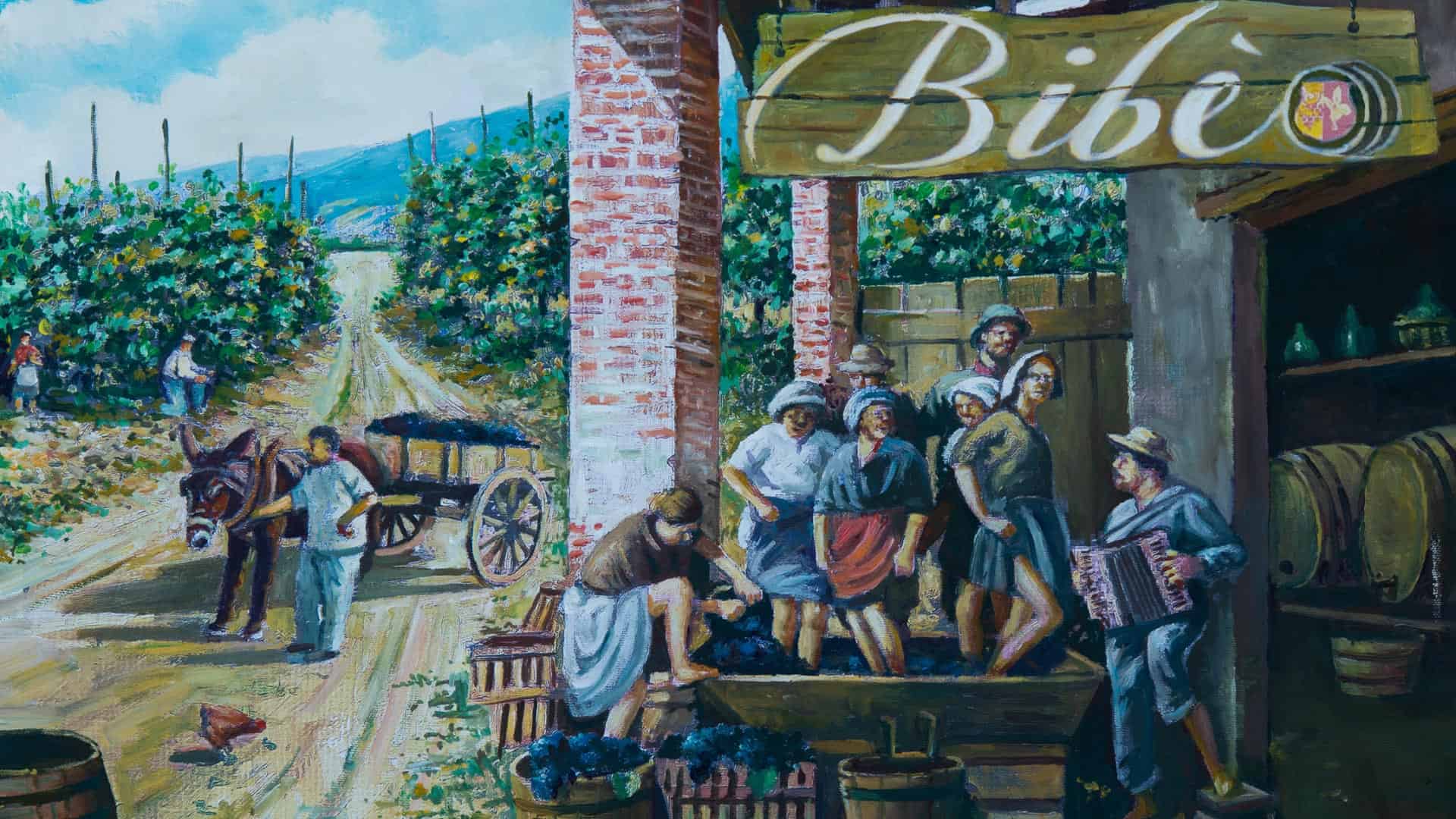 nascita-collezione-vini-pugliesi-bibeo